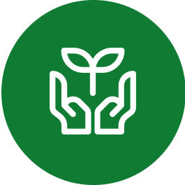 Plant-Based & Eco-Friendly