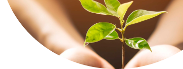 Sustainability